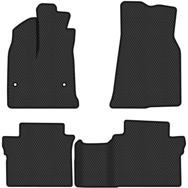 Polymer EVA Fußmatten BYD E2 Schrägheck seit 2019