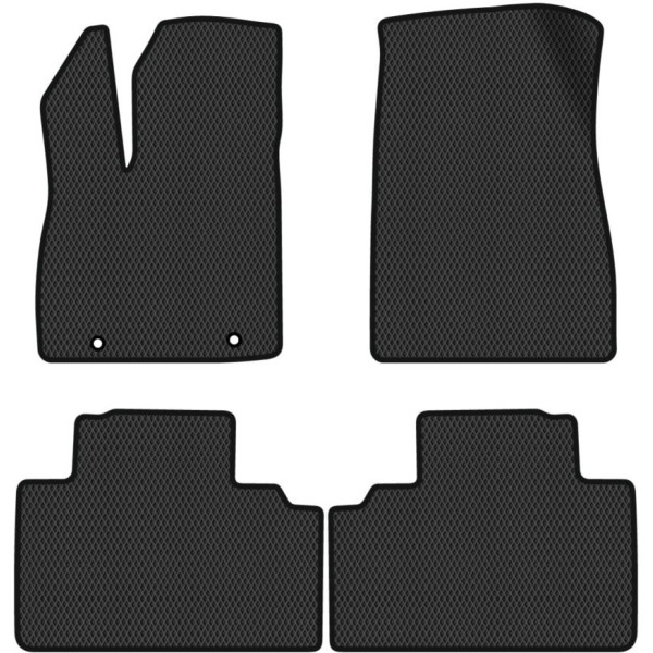 Polymer EVA Fußmatten BYD Sealion 05 seit 2025