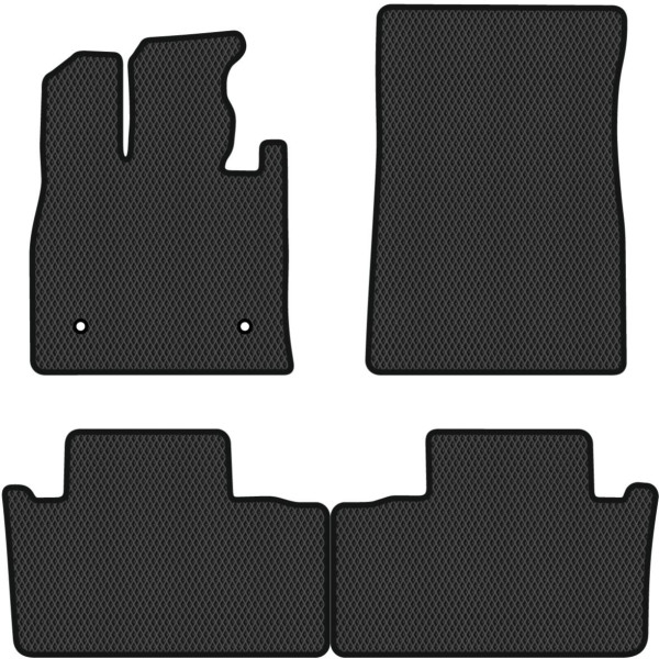 Polymer EVA Fußmatten BYD Song Plus EV seit 2020