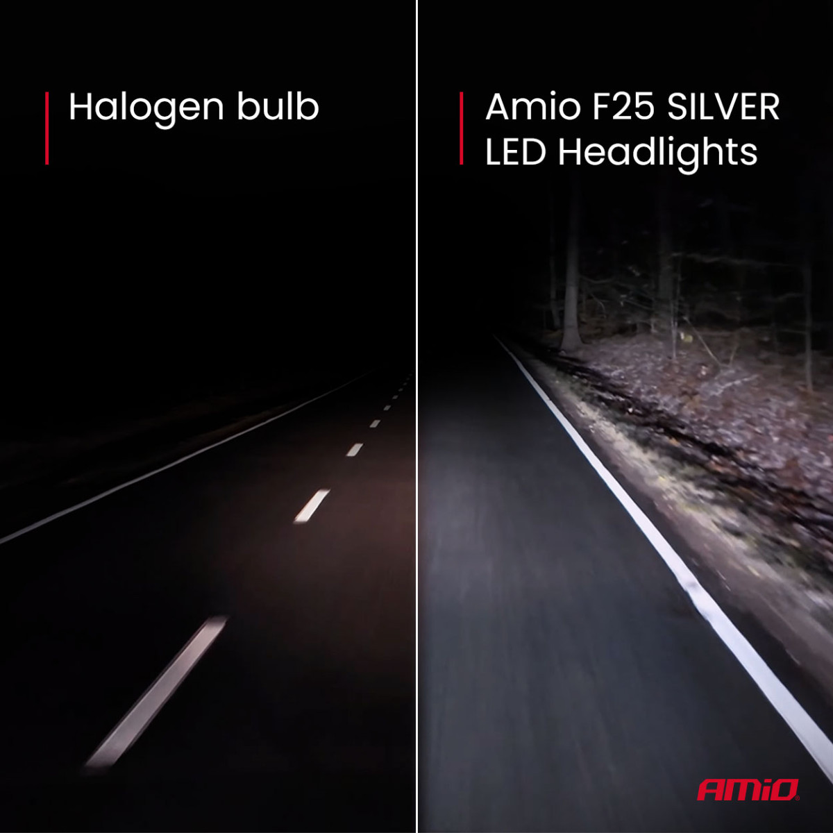 LED-Scheinwerferlampen F25 SILBER VOLL CANBUS H8/H9/H11/H16 62W 12V 24V AMIO-04705