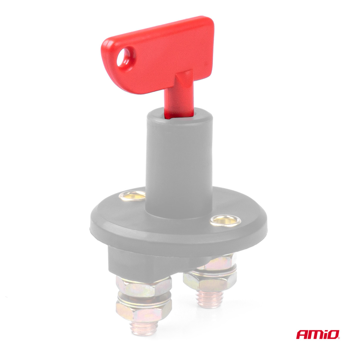 Hauptschalter-Schlüsselsatz, 10 Stück, AMIO-04805