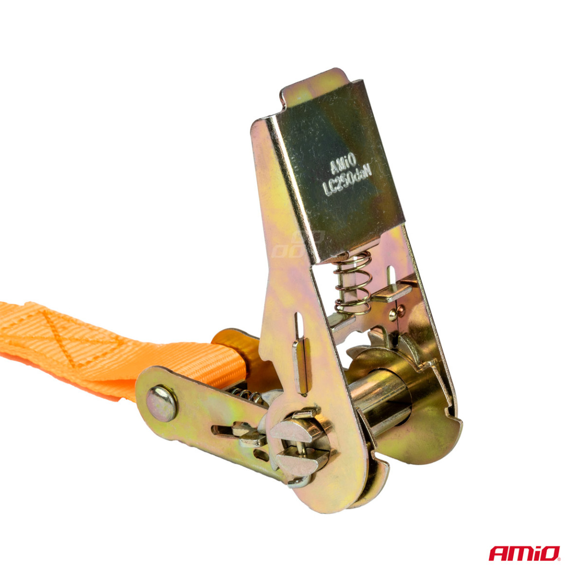 Ladungssicherungsgurte und elastische Seile, Set, AMIO-03293